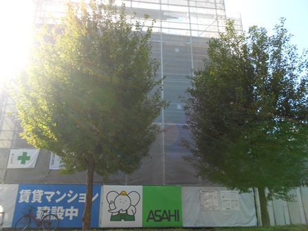 asahi 002.JPG