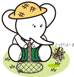 昆虫採集(2)