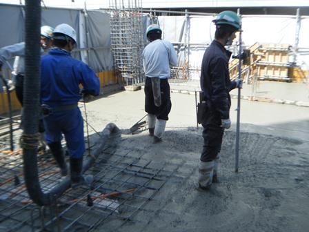 DSCF8813.JPG