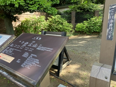 20230502-honkomagome2-02.JPG