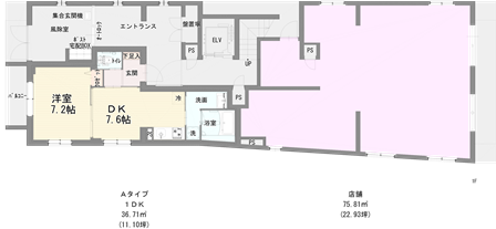 駒込6丁目マンション　1F01.png