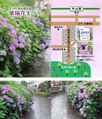 あじさい祭り.jpg
