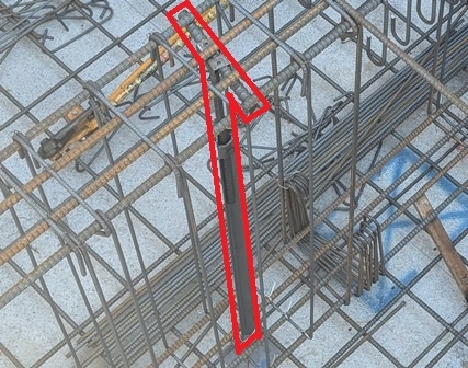 PXL_20250725_044641568.jpg