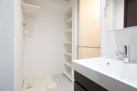 20250225-shinmaruko-176.JPG