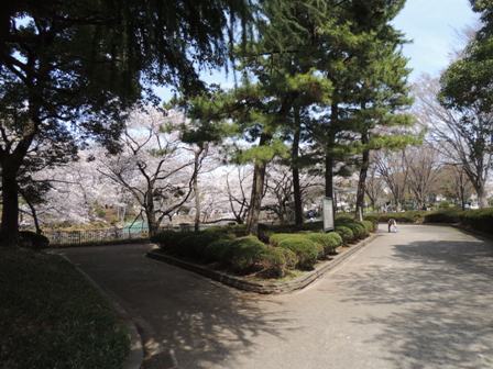 20140402sakura02.JPG