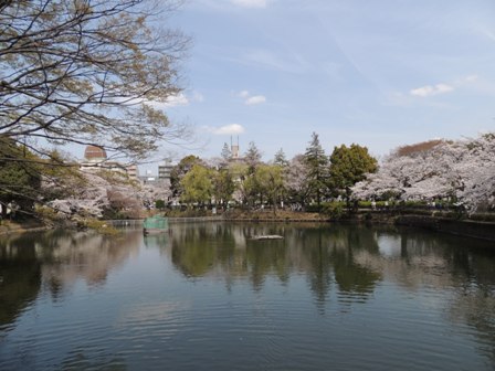 20140402sakura12.JPG