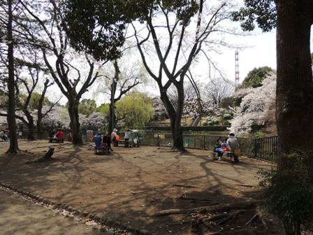 20140402sakura23.JPG