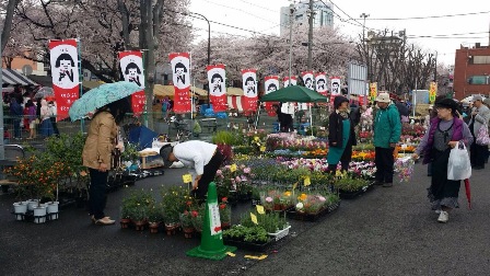 20140405sagamihara-sakura-fes13.JPG