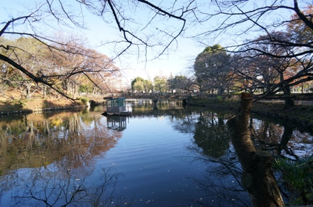 20151129鹿沼公園-002.JPG