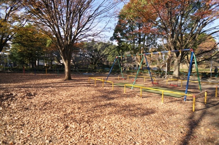 20151129鹿沼公園-006.JPG