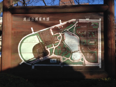 20151129鹿沼公園-013.JPG