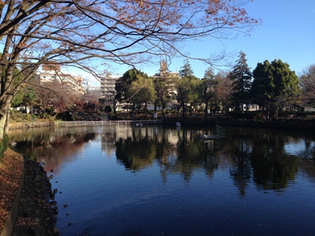 20151129鹿沼公園-025.JPG