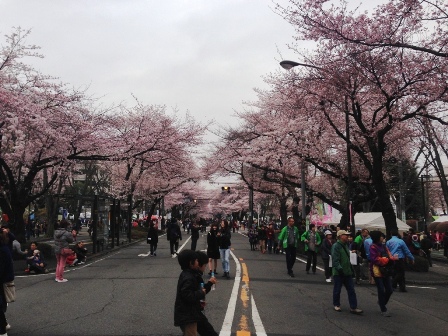 20160402-sakura0136.JPG