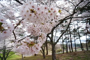 DSC05410.JPG